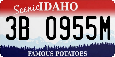 ID license plate 3B0955M