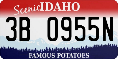 ID license plate 3B0955N