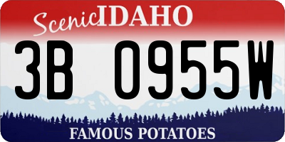 ID license plate 3B0955W