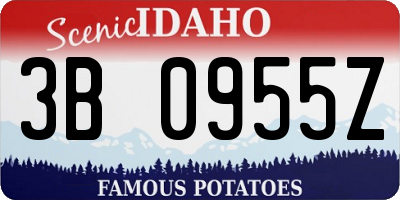 ID license plate 3B0955Z