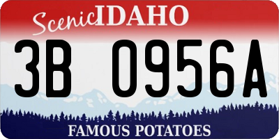 ID license plate 3B0956A