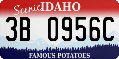 ID license plate 3B0956C