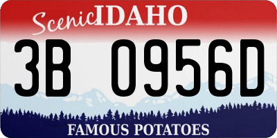 ID license plate 3B0956D