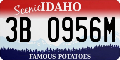 ID license plate 3B0956M