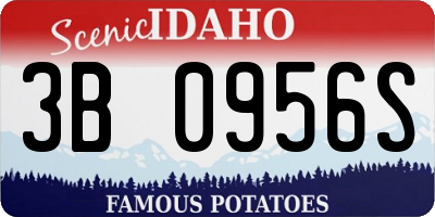 ID license plate 3B0956S
