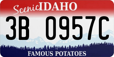 ID license plate 3B0957C
