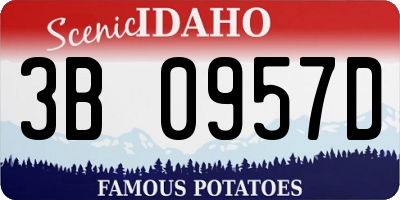 ID license plate 3B0957D
