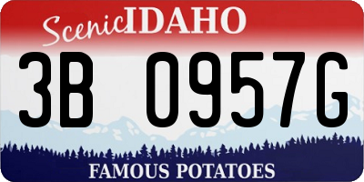 ID license plate 3B0957G