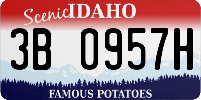 ID license plate 3B0957H