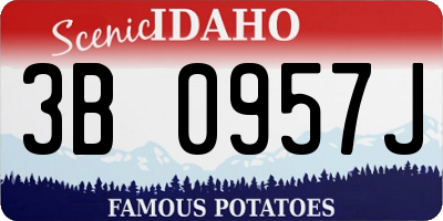 ID license plate 3B0957J