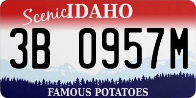 ID license plate 3B0957M