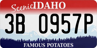 ID license plate 3B0957P