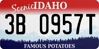 ID license plate 3B0957T