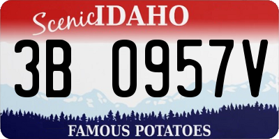 ID license plate 3B0957V