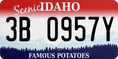 ID license plate 3B0957Y