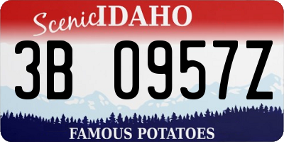 ID license plate 3B0957Z