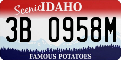 ID license plate 3B0958M
