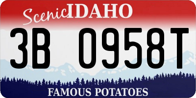 ID license plate 3B0958T