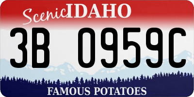 ID license plate 3B0959C