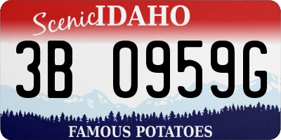 ID license plate 3B0959G
