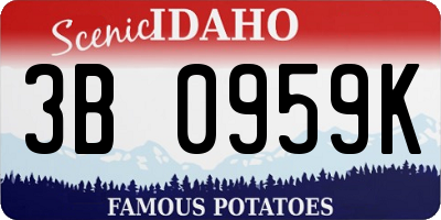 ID license plate 3B0959K