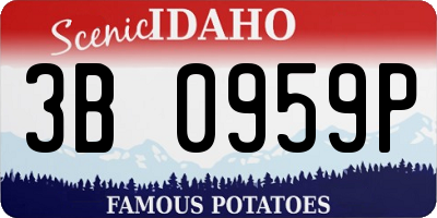ID license plate 3B0959P