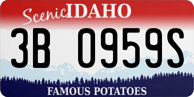 ID license plate 3B0959S