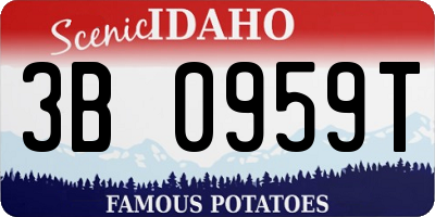 ID license plate 3B0959T