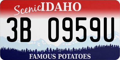 ID license plate 3B0959U
