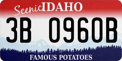 ID license plate 3B0960B