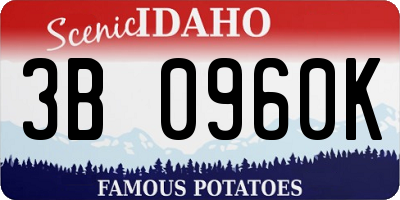 ID license plate 3B0960K