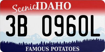 ID license plate 3B0960L