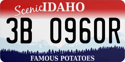 ID license plate 3B0960R
