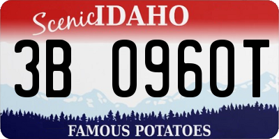 ID license plate 3B0960T