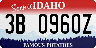 ID license plate 3B0960Z