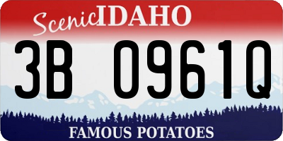 ID license plate 3B0961Q