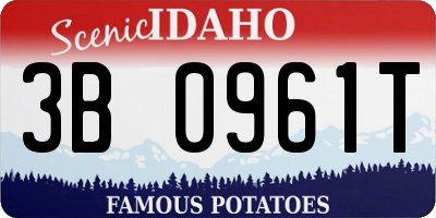 ID license plate 3B0961T