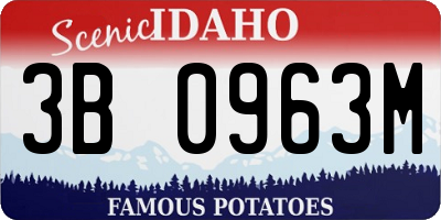ID license plate 3B0963M