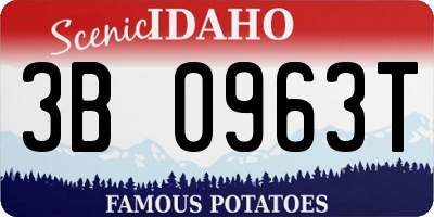 ID license plate 3B0963T