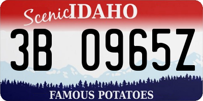 ID license plate 3B0965Z