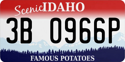 ID license plate 3B0966P