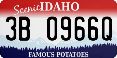 ID license plate 3B0966Q