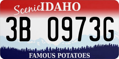 ID license plate 3B0973G