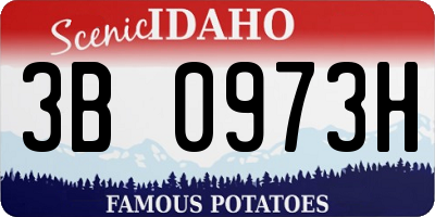 ID license plate 3B0973H