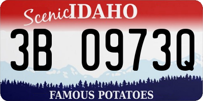ID license plate 3B0973Q