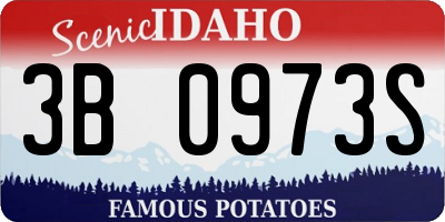 ID license plate 3B0973S
