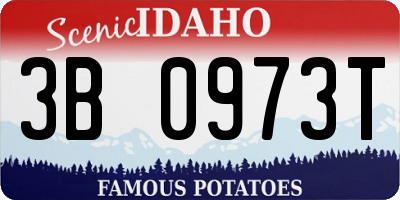 ID license plate 3B0973T