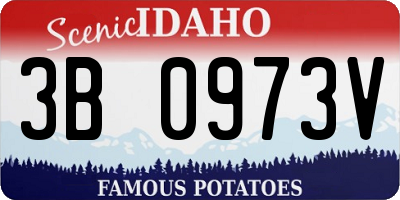 ID license plate 3B0973V