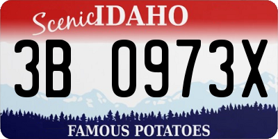 ID license plate 3B0973X
