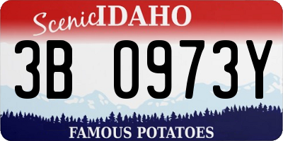 ID license plate 3B0973Y